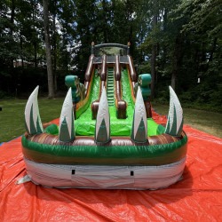 IMG 5920 1736215736 Dinosaur Adventure 20' Water Slide